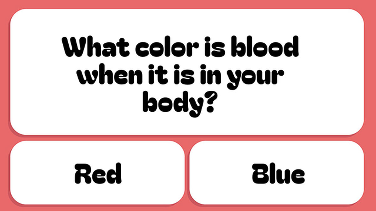 Dumb Questions for Smart People - Round 2 image number null